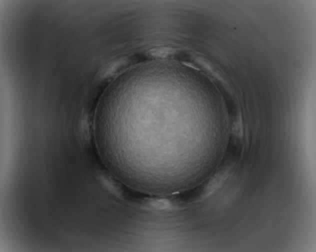 X0000088190572200705221705