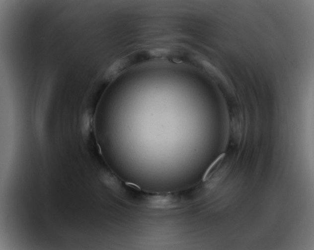 X0000088190574200705221705