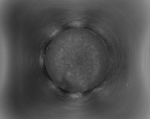 X0000088190576200705221705