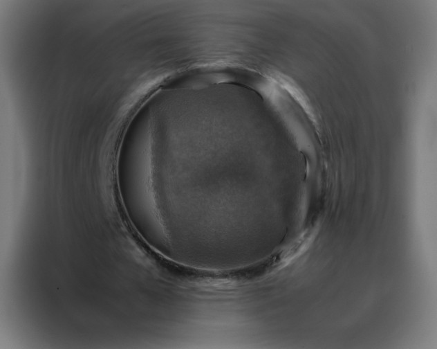X0000088190577200705221704