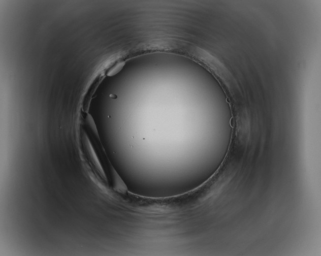 X0000088190578200705221704