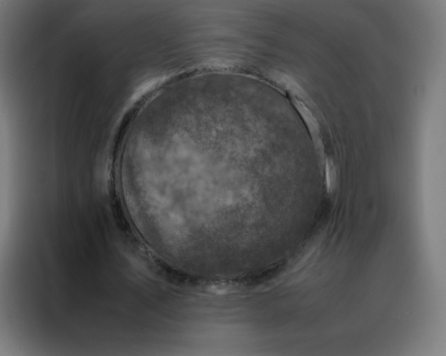 X0000088190579200705221704