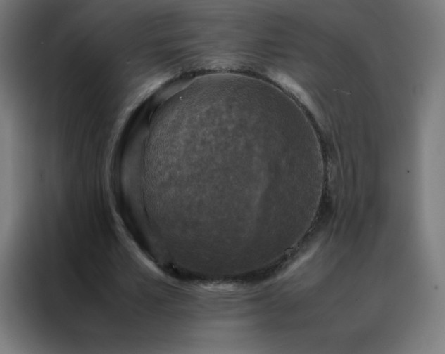 X0000088190581200705221704