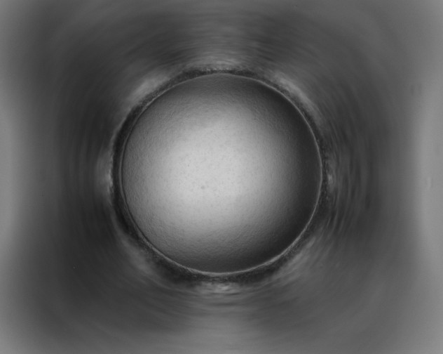 X0000088190582200705221704