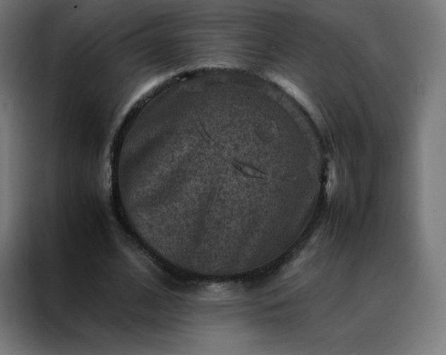 X0000088190584200705221704