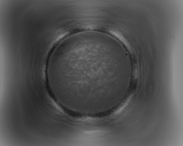 X0000088190585200705221704
