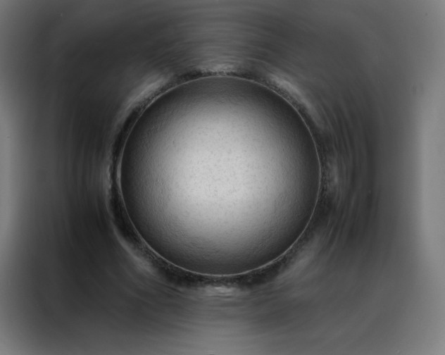 X0000088190586200705221704