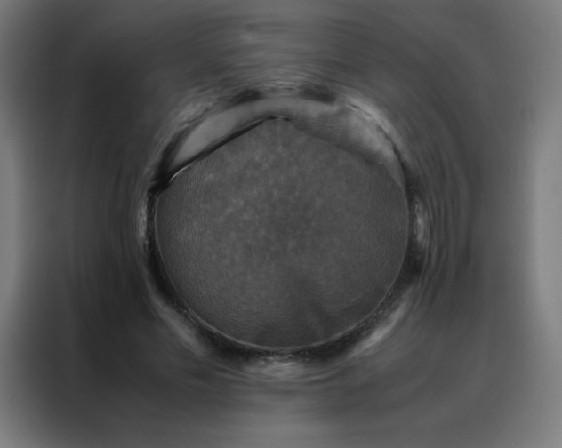 X0000088190589200705221704