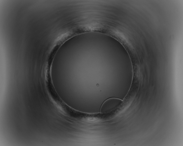 X0000088190590200705221704