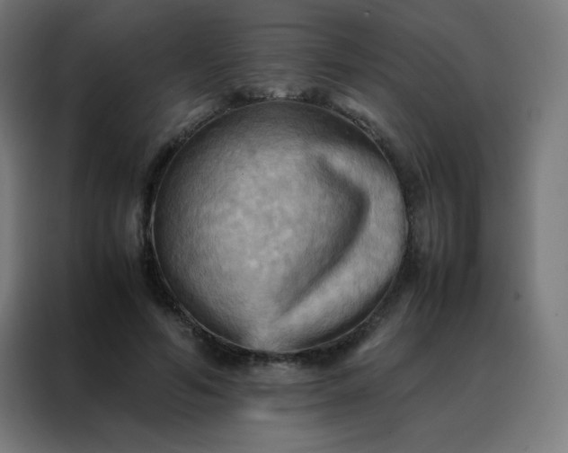 X0000088190594200705221704