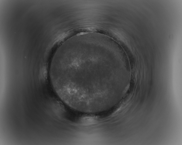 X0000088190595200705221704