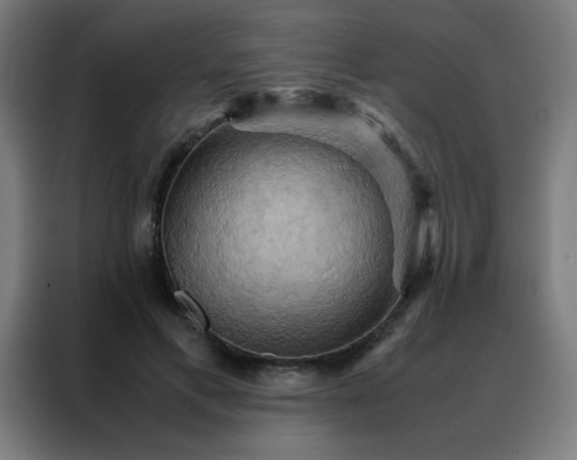 X0000088190597200705221704