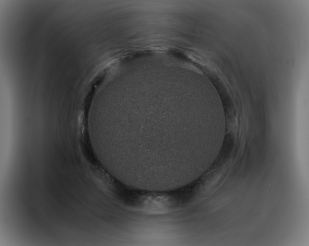 X0000088190599200705221704