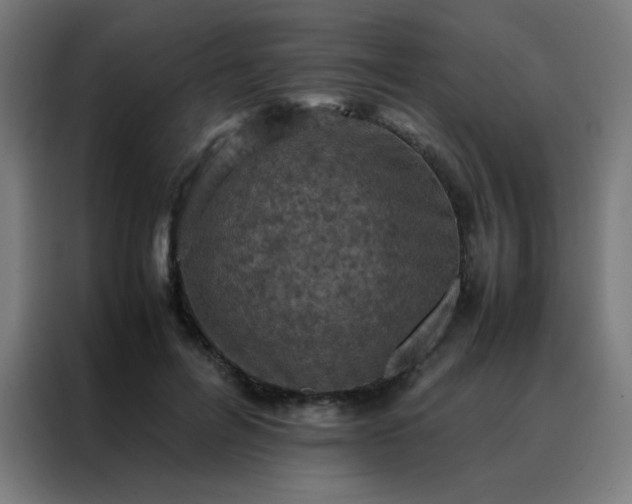 X0000088190600200705221704