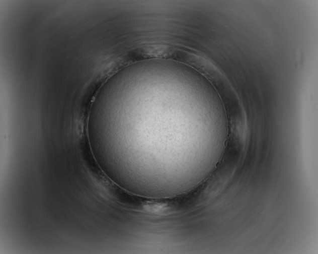 X0000088190602200705221704
