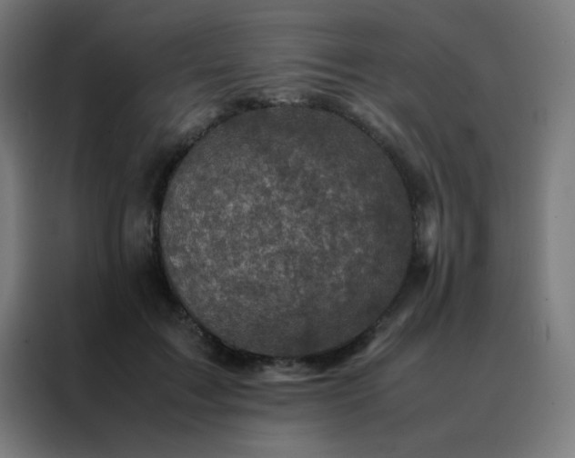 X0000088190603200705221704