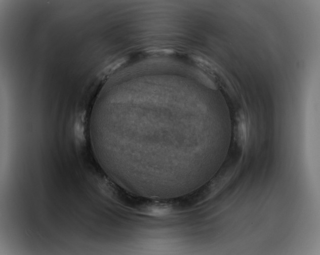 X0000088190604200705221704