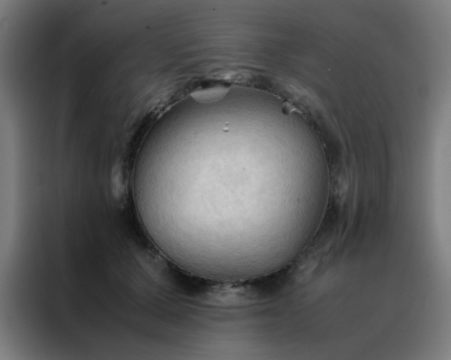 X0000088190607200705221704