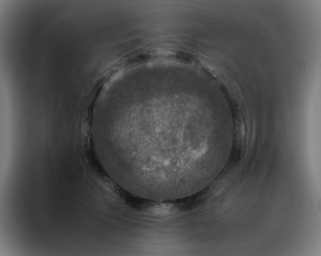 X0000088190609200705221704