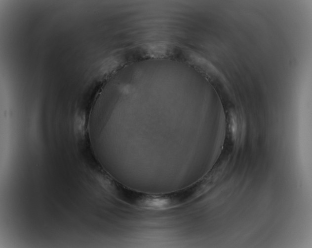X0000088190610200705221704
