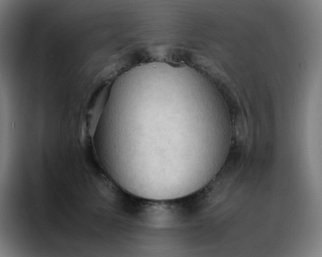 X0000088190611200705221704