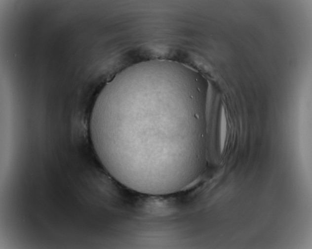 X0000088190613200705221703