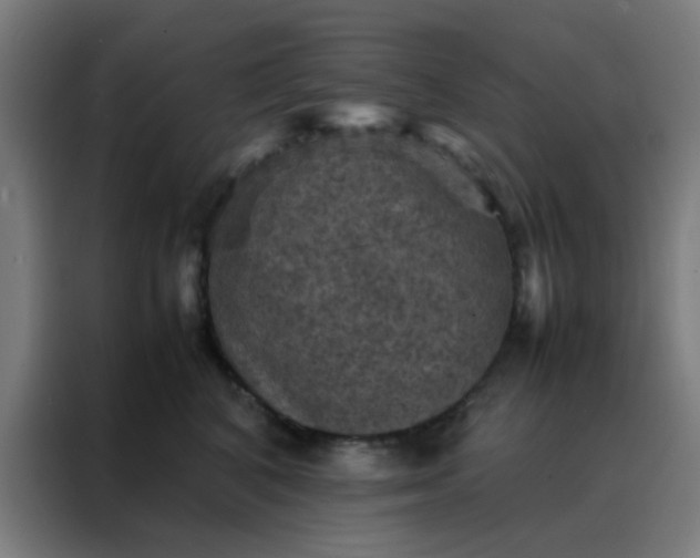 X0000088190616200705221703