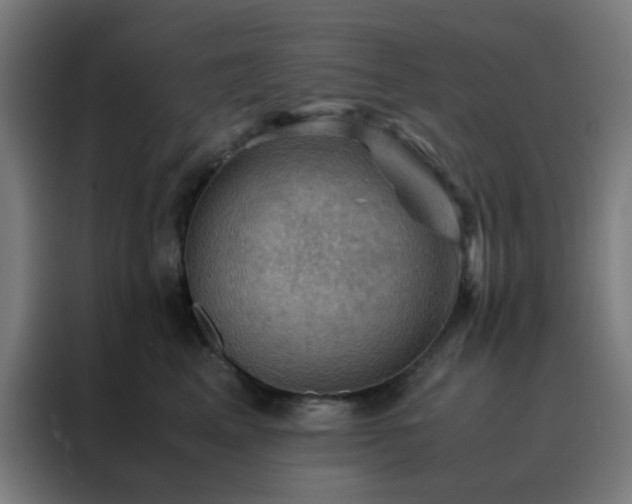 X0000088190617200705221703