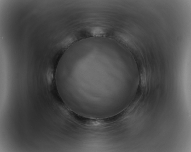 X0000088190618200705221703