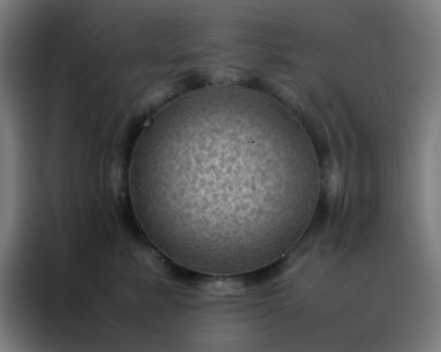 X0000088190619200705221703