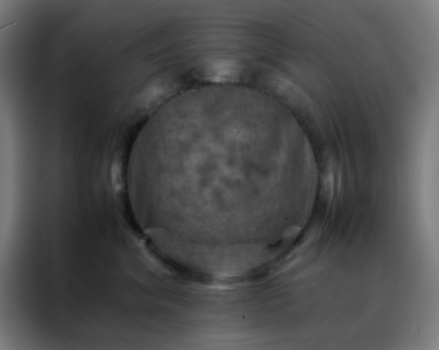 X0000088190620200705221703