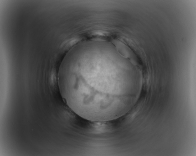 X0000088190623200705221703