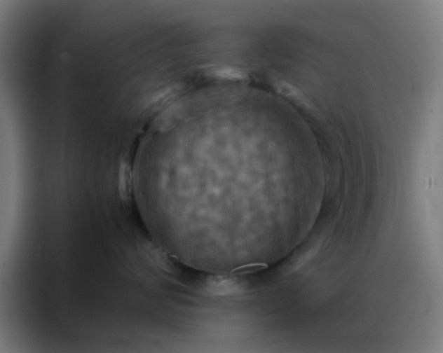 X0000088190624200705221703