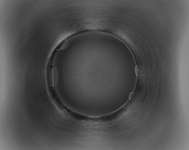 X0000088190626200705221703