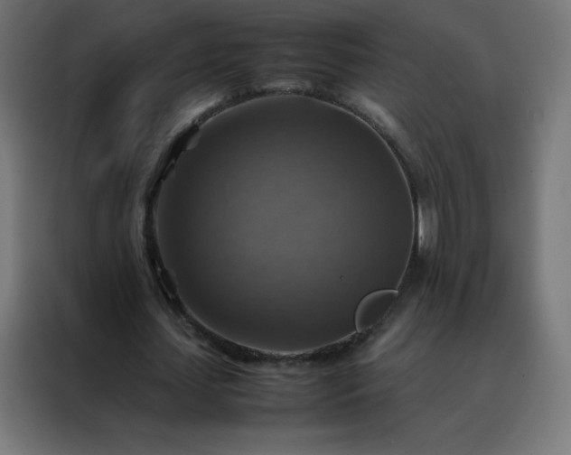 X0000088190627200705221703