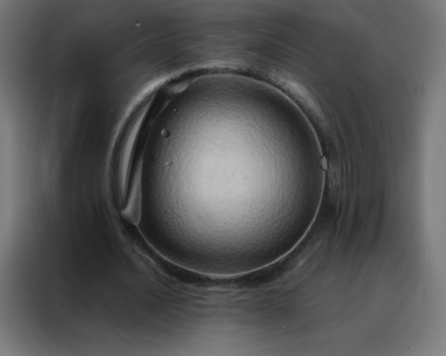 X0000088190628200705221703