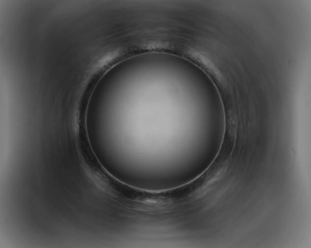 X0000088190631200705221703