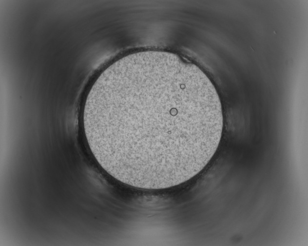 X0000088190632200705221703