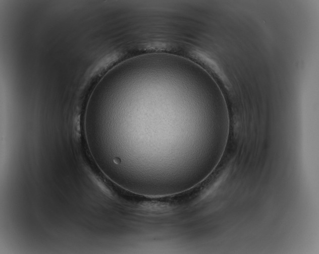 X0000088190633200705221703