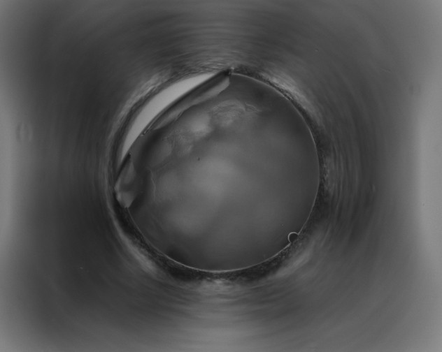 X0000088190634200705221703