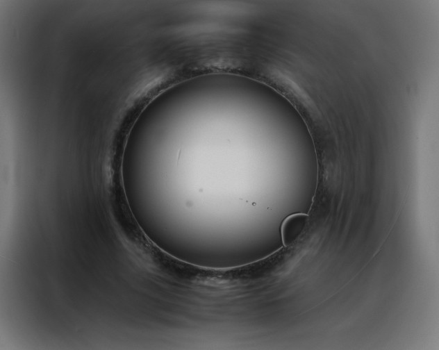 X0000088190635200705221703