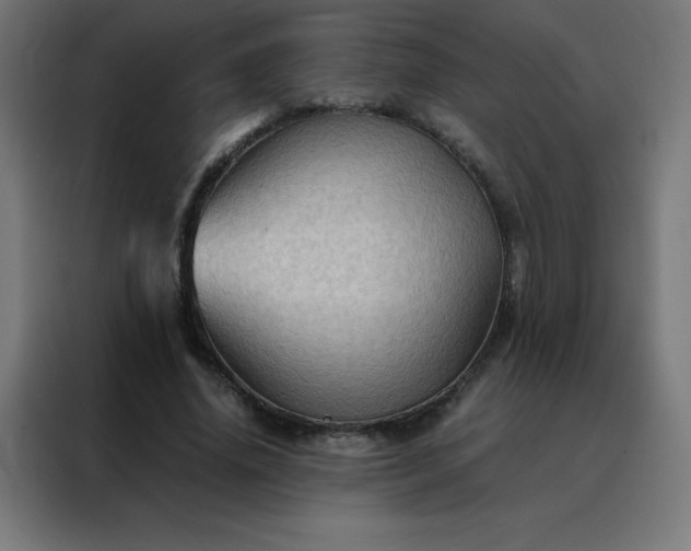 X0000088190636200705221703