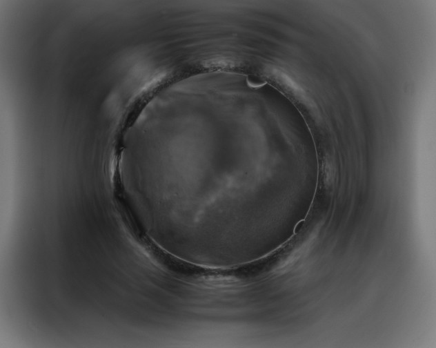 X0000088190637200705221703