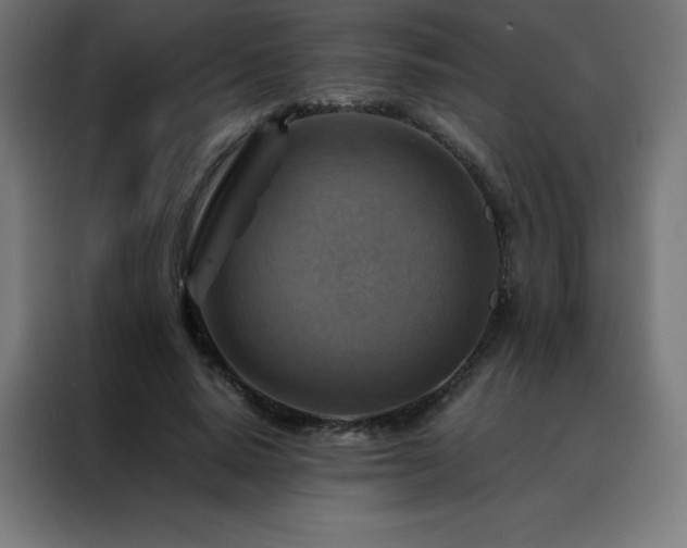 X0000088190640200705221703