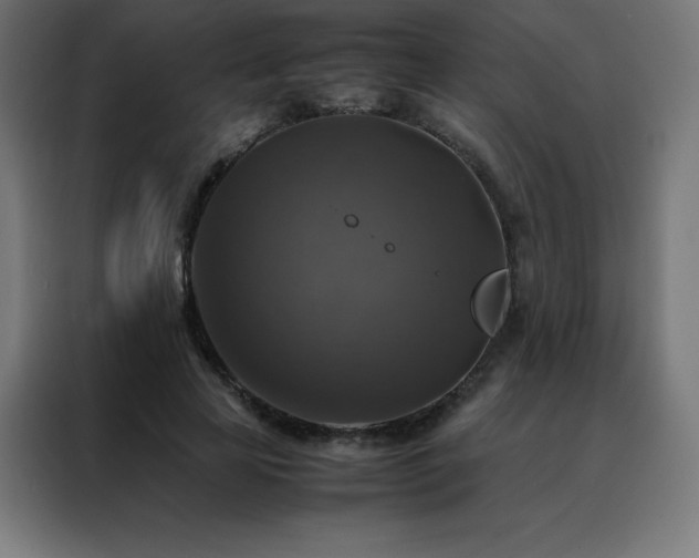 X0000088190641200705221703