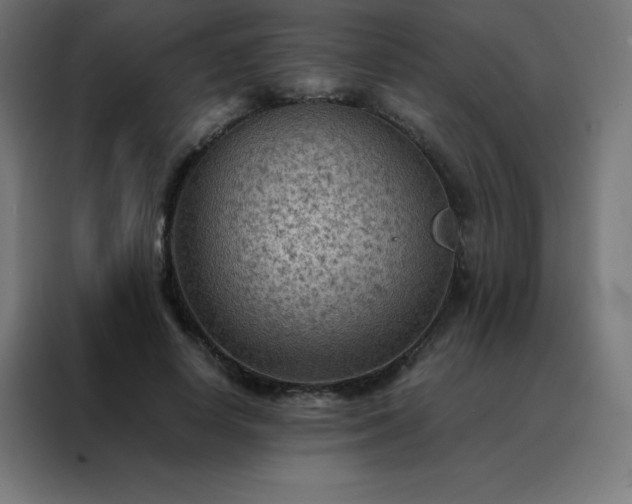 X0000088190642200705221703