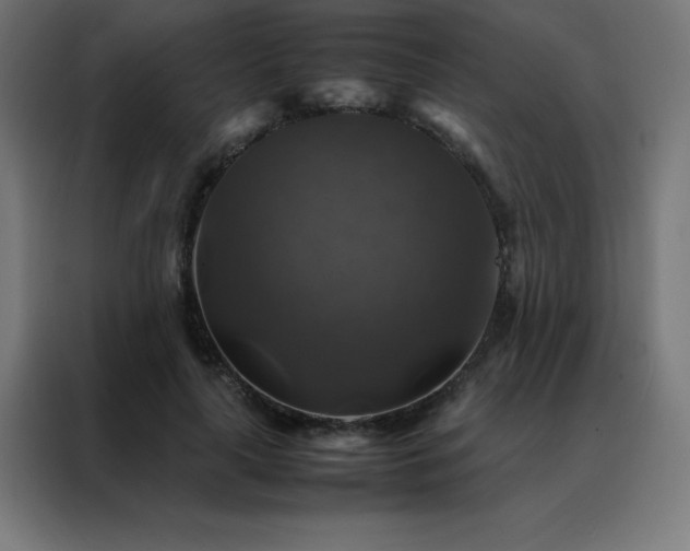 X0000088190643200705221703