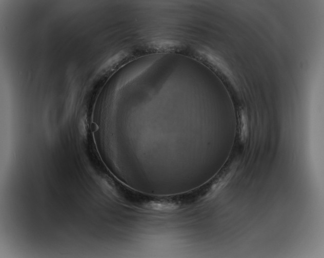 X0000088190644200705221703