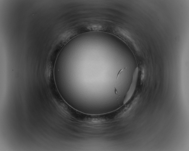 X0000088190645200705221703