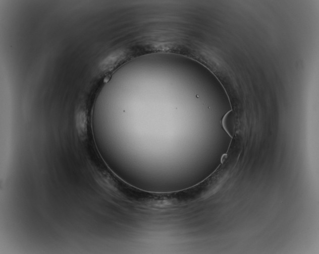 X0000088190646200705221703